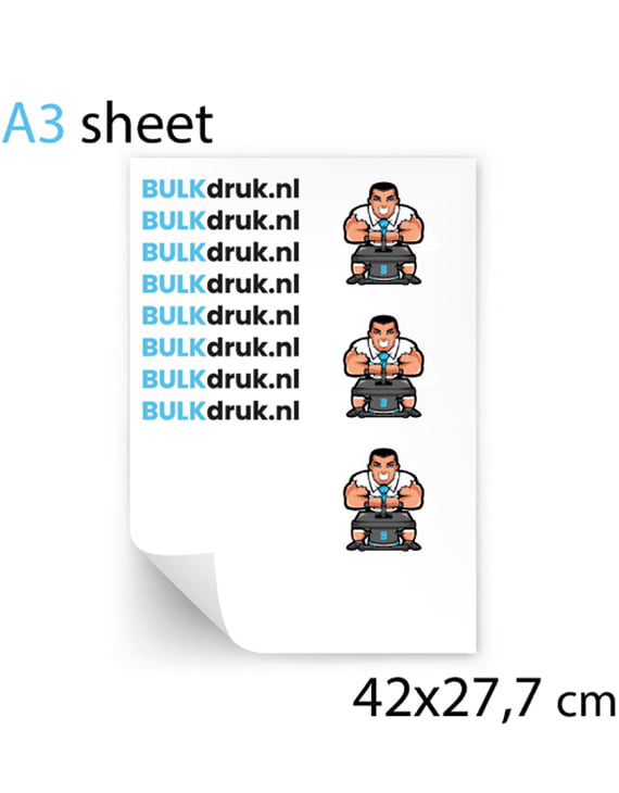 DTF Transfer A3 (42x27,7 cm)